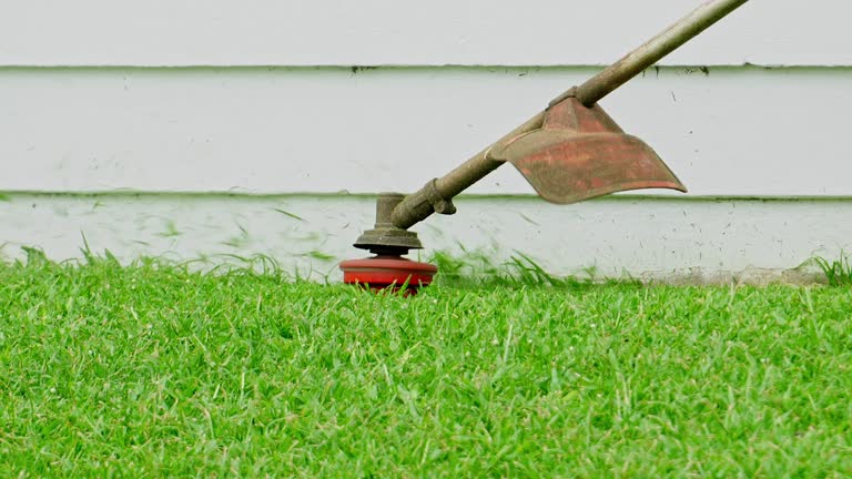 Best Arborist Consultation Services  in Tton, IL
