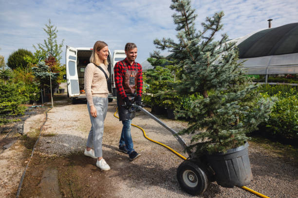 Best Firewood Processing and Delivery  in Tton, IL